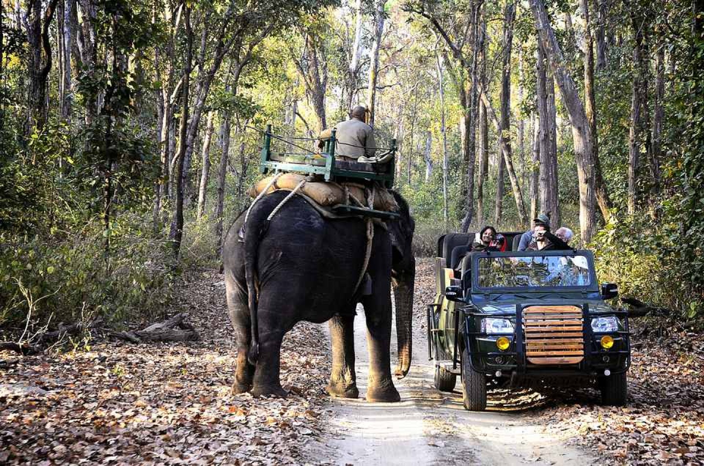 Kanha Tour From Nagpur