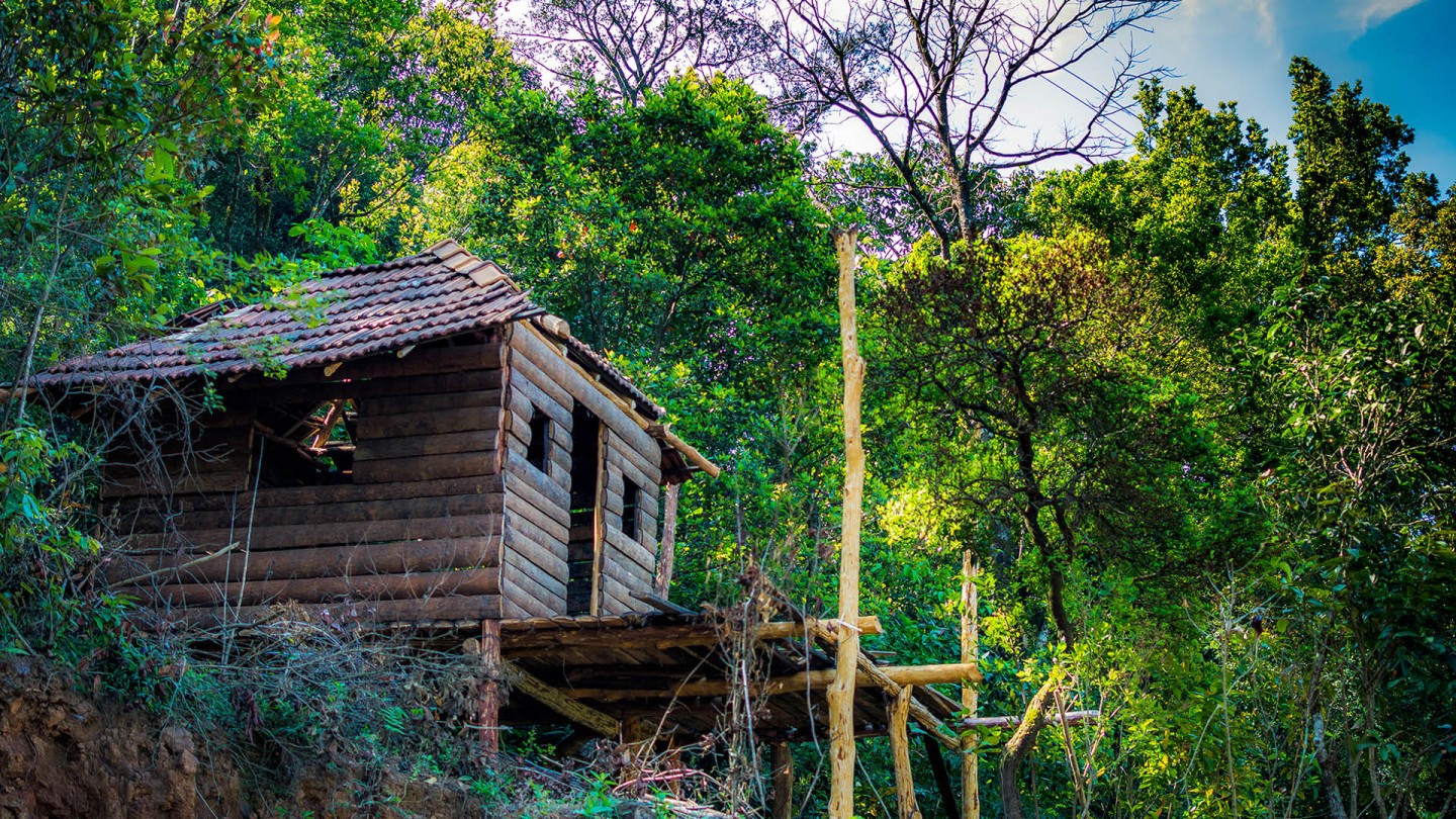 Delightful Coorg with Kabini