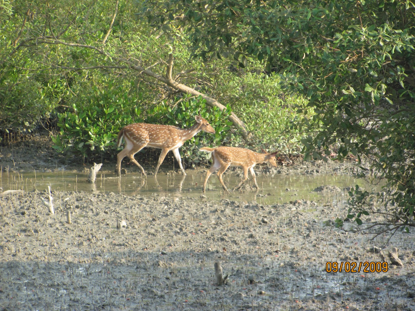 Chandigarh Corbett Weekend Tour 